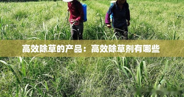 林下风气 第2页
