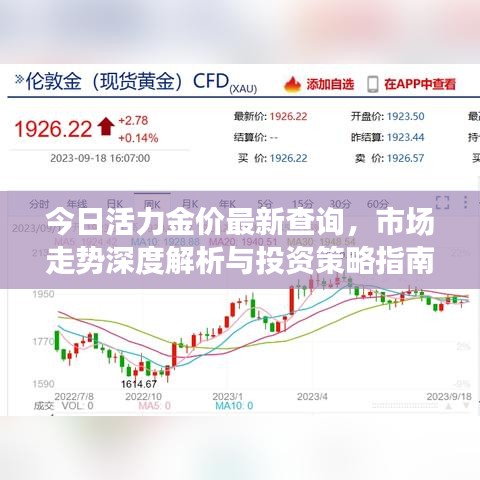 今日活力金价最新查询，市场走势深度解析与投资策略指南