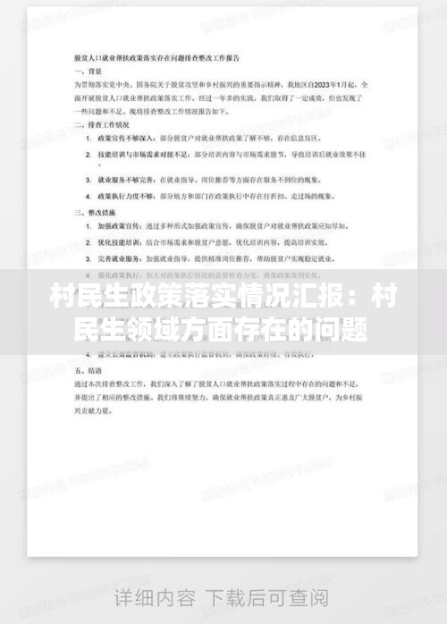 村民生政策落实情况汇报：村民生领域方面存在的问题 