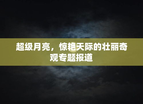 超级月亮，惊艳天际的壮丽奇观专题报道