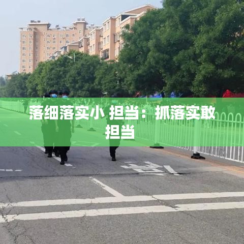 落细落实小 担当：抓落实敢担当 