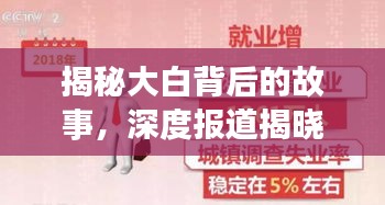 揭秘大白背后的故事，深度报道揭晓真相