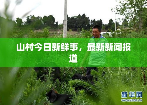 山村今日新鲜事，最新新闻报道