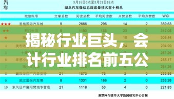 揭秘行业巨头，会计行业排名前五公司及其影响力