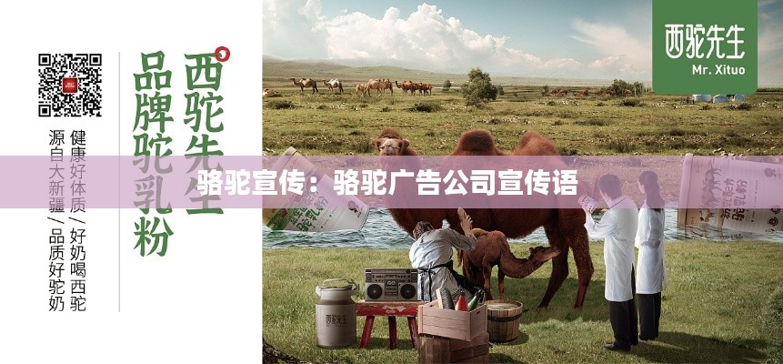 就正有道 第2页