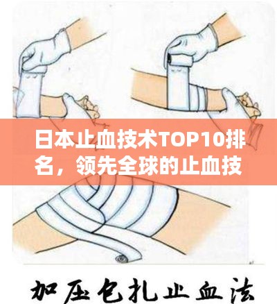 贵险贱璧 第2页