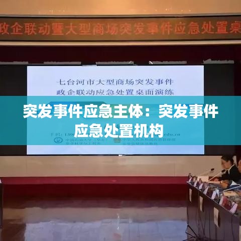 突发事件应急主体：突发事件应急处置机构 