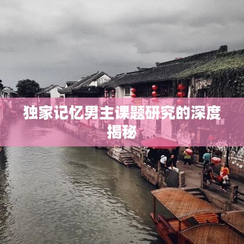 独家记忆男主课题研究的深度揭秘