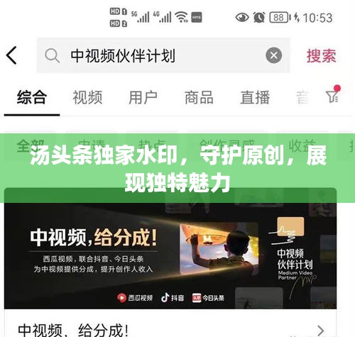 花枝招展 第2页