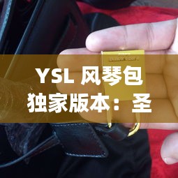 YSL 风琴包独家版本：圣罗兰风琴包有哪几种颜色 