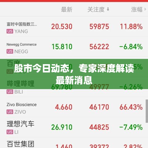 股市今日动态，专家深度解读最新消息