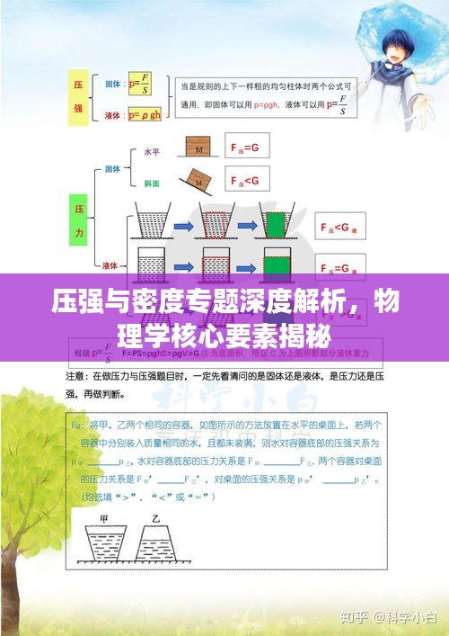 压强与密度专题深度解析，物理学核心要素揭秘