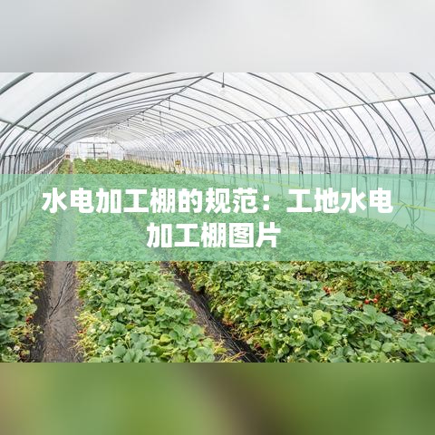 水电加工棚的规范：工地水电加工棚图片 