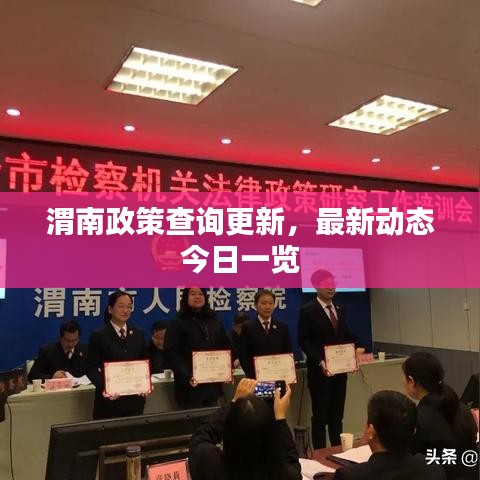 渭南政策查询更新，最新动态今日一览