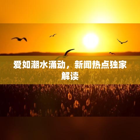 爱如潮水涌动，新闻热点独家解读
