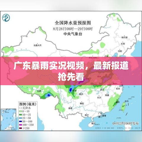 天生丽质 第2页