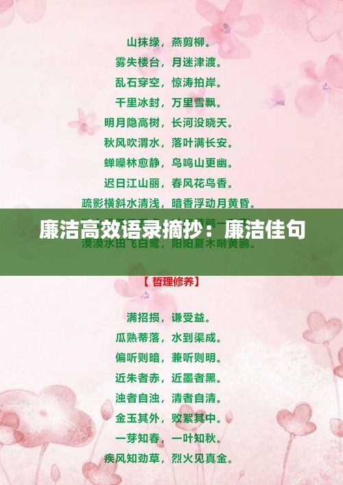 廉洁高效语录摘抄：廉洁佳句 