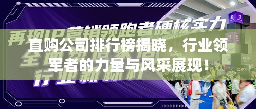 直购公司排行榜揭晓，行业领军者的力量与风采展现！