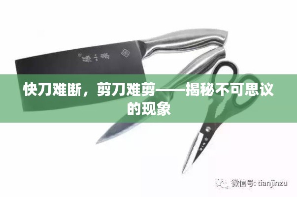飞龙在天 第2页