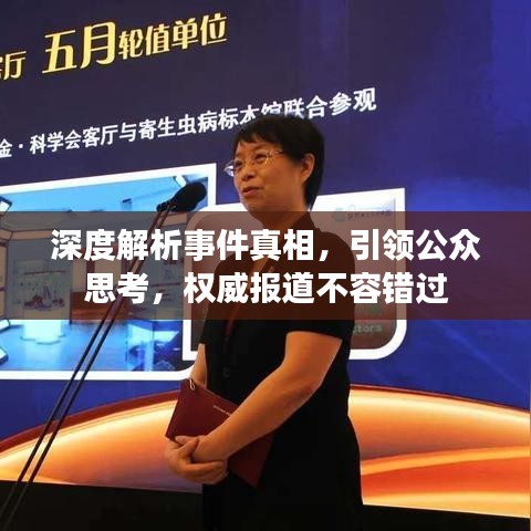 雍容典雅 第2页