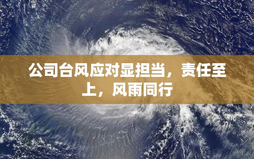 公司台风应对显担当，责任至上，风雨同行