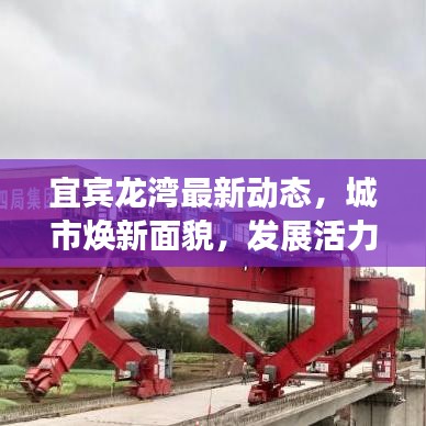 宜宾龙湾最新动态，城市焕新面貌，发展活力涌现