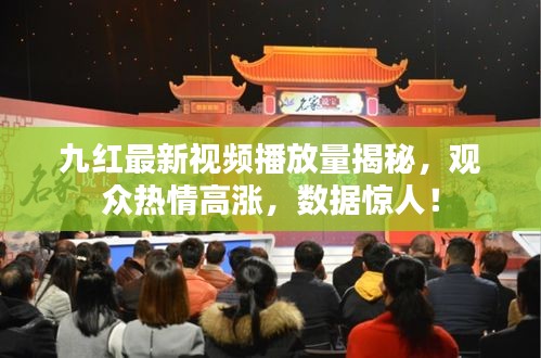 九红最新视频播放量揭秘，观众热情高涨，数据惊人！