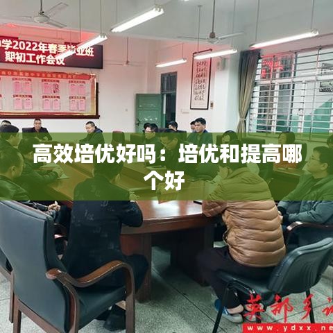 高效培优好吗：培优和提高哪个好 