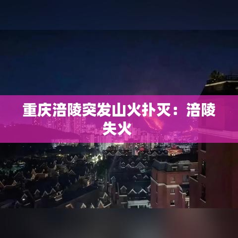 风流儒雅 第2页