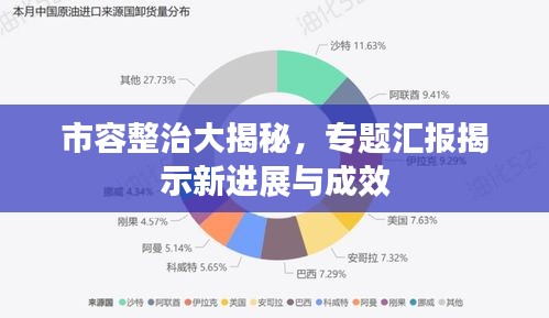 市容整治大揭秘，专题汇报揭示新进展与成效