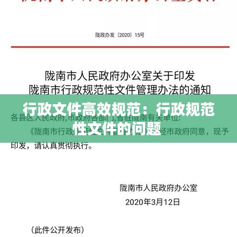 行政文件高效规范：行政规范性文件的问题 