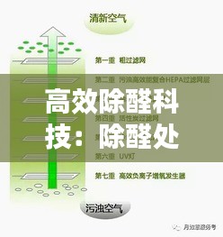 高效除醛科技：除醛处理是什么原理 