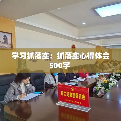 学习抓落实：抓落实心得体会500字 