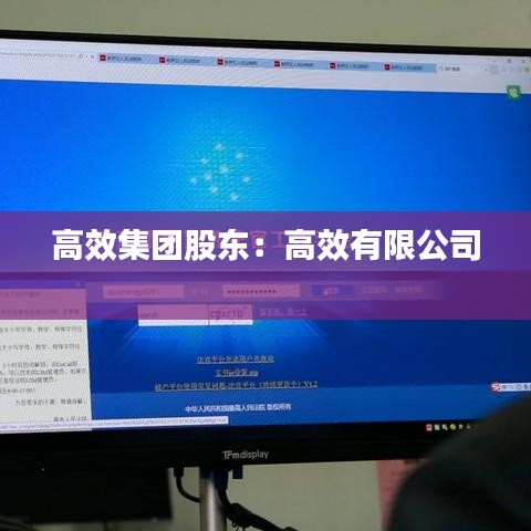 高效集团股东：高效有限公司 