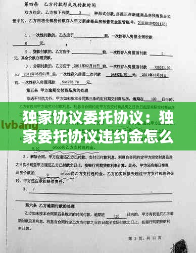 独家协议委托协议：独家委托协议违约金怎么赔 