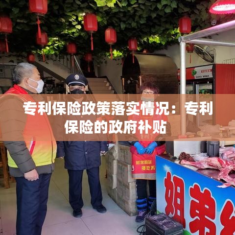 专利保险政策落实情况：专利保险的政府补贴 