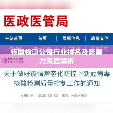 核酸检测公司行业排名及影响力深度解析