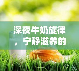 深夜牛奶旋律，宁静滋养的流淌时光