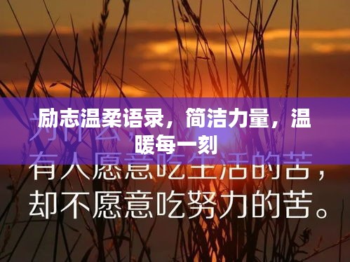 励志温柔语录，简洁力量，温暖每一刻