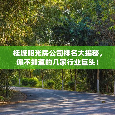桂城阳光房公司排名大揭秘，你不知道的几家行业巨头！