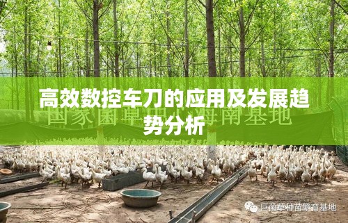高效数控车刀的应用及发展趋势分析