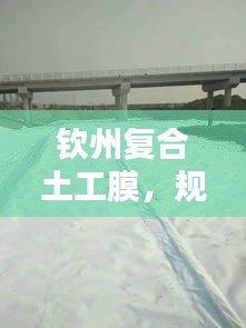 钦州复合土工膜，规范、应用、特性与工程实践全解析