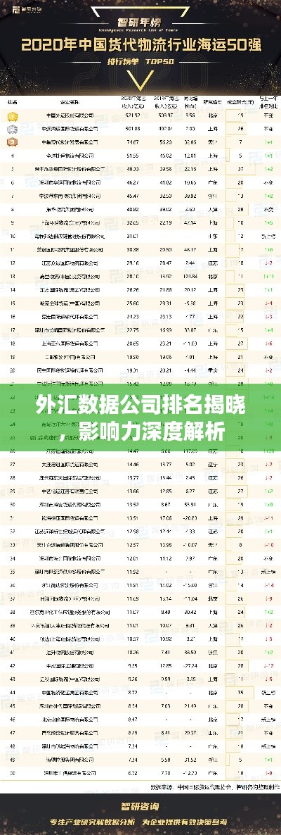 外汇数据公司排名揭晓，影响力深度解析