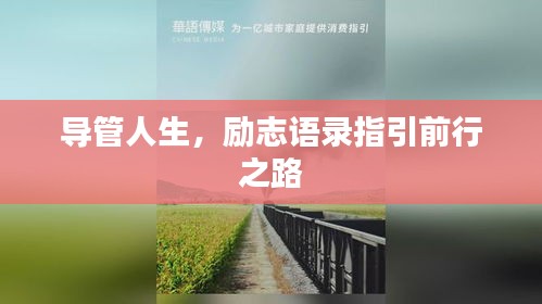 导管人生，励志语录指引前行之路