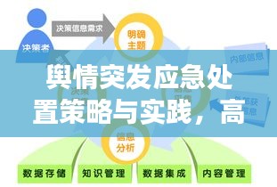 舆情突发应急处置策略与实践，高效应对危机，守护网络生态安全