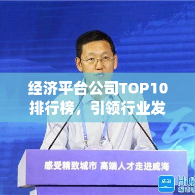 经济平台公司TOP10排行榜，引领行业发展，谁占据了行业制高点？