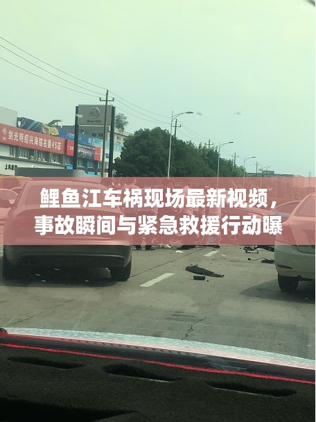 鲤鱼江车祸现场最新视频，事故瞬间与紧急救援行动曝光
