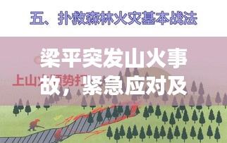 梁平突发山火事故，紧急应对及深刻反思