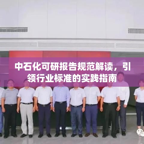 中石化可研报告规范解读，引领行业标准的实践指南