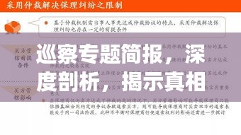 巡察专题简报，深度剖析，揭示真相